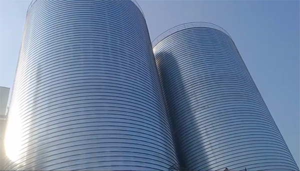 汝州2座混凝土高架卷板仓